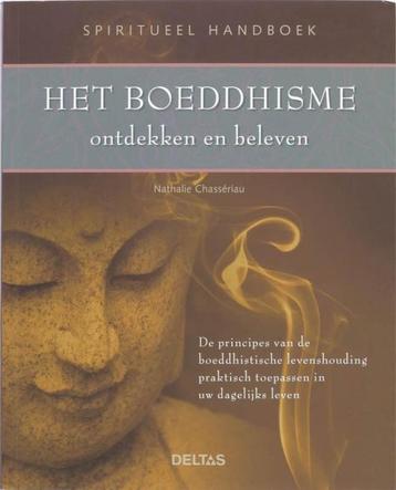 Het Boeddhisme ontdekken en beleven beschikbaar voor biedingen