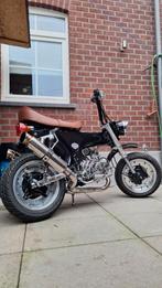 Skyteam Dax Pro 50cc, Motoren, Particulier