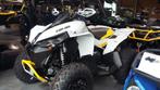 Quad Can Am Renegade, Motoren, 2 cilinders, Meer dan 35 kW, 650 cc