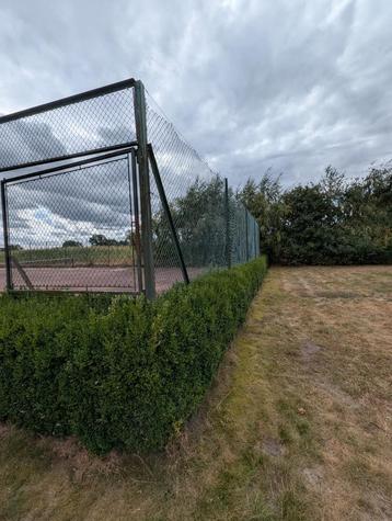 Ruitvormig groen gaashekwerk met palen beschikbaar voor biedingen