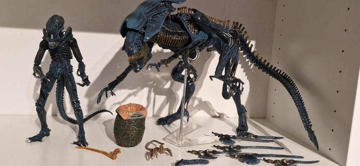 Reine et guerrière des extraterrestres Neca, Animaux & Accessoires, Chevaux & Poneys | Brides & Harnachement, Enlèvement ou Envoi