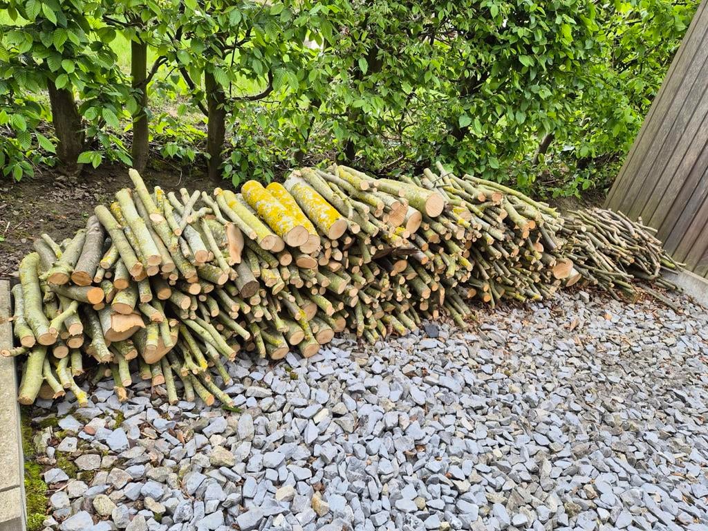 Feu et allumage, Enlèvement