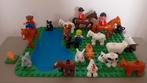 Boerderijdieren Duplo, Ophalen of Verzenden, Zo goed als nieuw, Losse stenen, Duplo