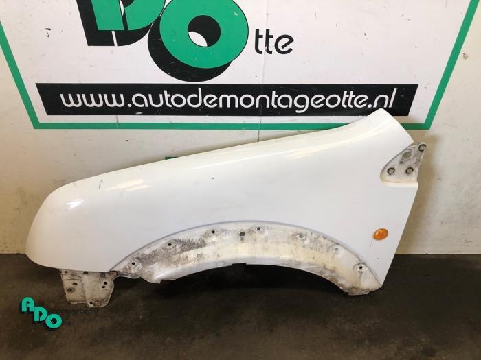 Scherm links-voor van een Ford Transit Connect (Transit Conn, Auto-onderdelen, Carrosserie, Ford, Gebruikt, 3 maanden garantie