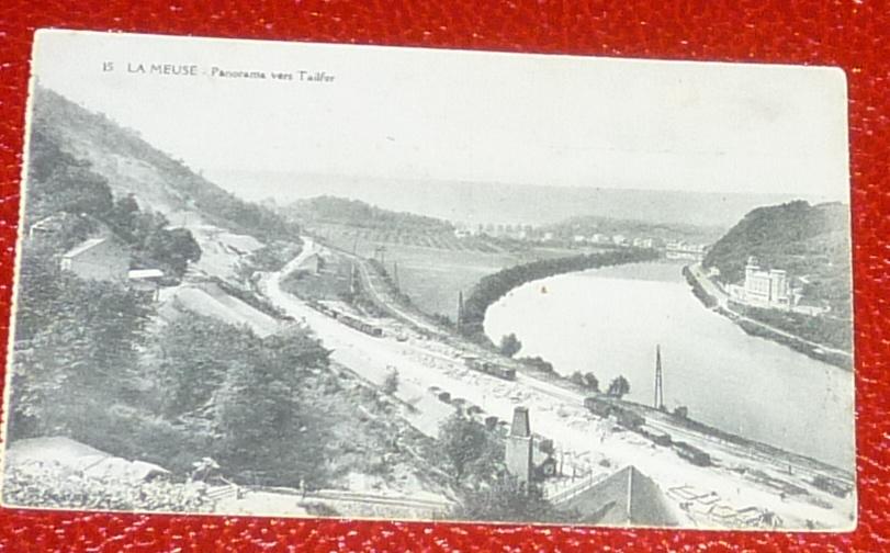 Carte postale authentique :Panorama de Tailfer, Ophalen of Verzenden, Gelopen, Namen