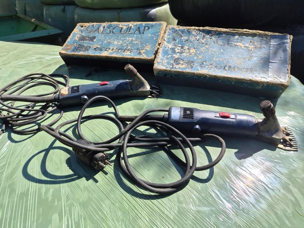 Schapen  tondeuse, Dieren en Toebehoren, Ophalen