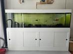Volledig aquarium, Dieren en Toebehoren, Ophalen, Zo goed als nieuw, Gevuld zoetwateraquarium