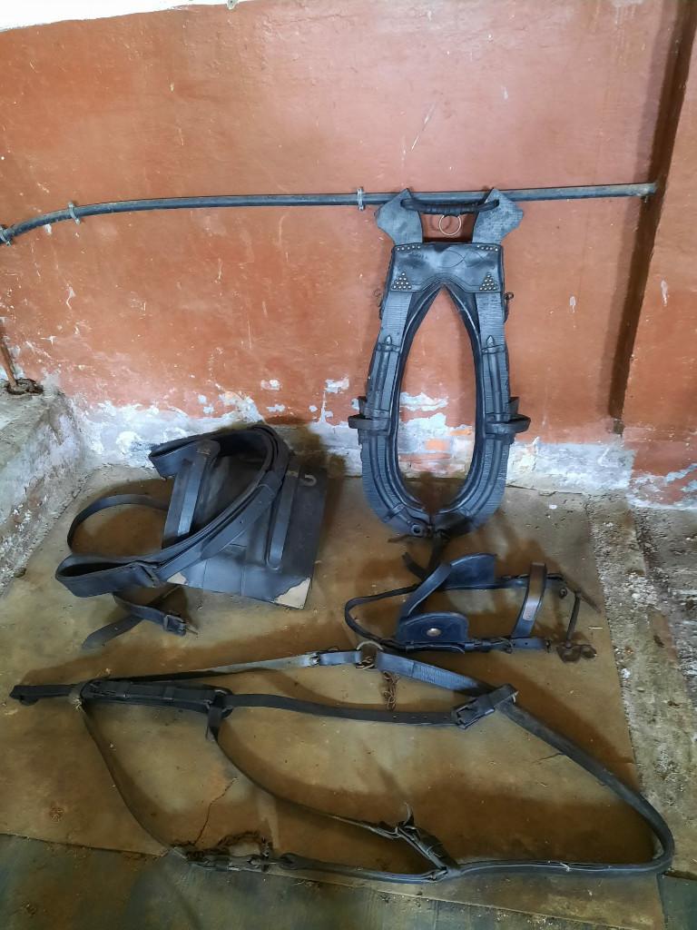 Paardengetuig, Animaux & Accessoires, Chevaux & Poneys | Brides & Harnachement, Enlèvement, Utilisé