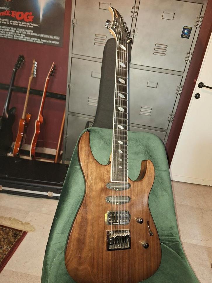 Caparison Dellinger, Musique & Instruments, Instruments à corde | Guitares | Électriques, Envoi