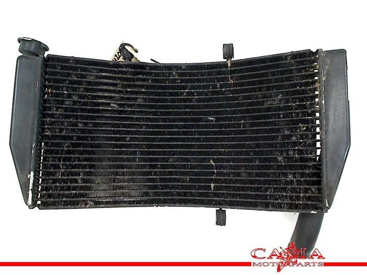 RADIATEUR CBR 954 RR Fireblade 2002-2003 (CBR900RR SC50), Motoren, Onderdelen | Honda, Gebruikt