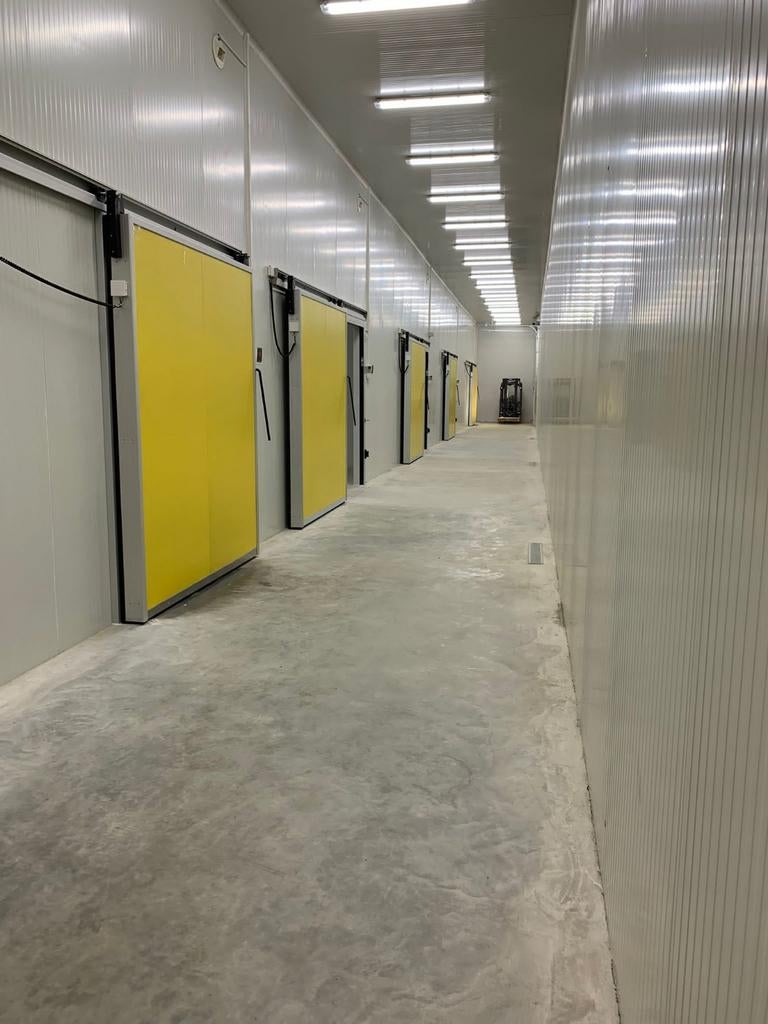 Entrepôt frigorifique, congélateur, Articles professionnels, Agriculture | Pommes de terre, Légumes, Fruits & Viande, Enlèvement