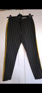 Nieuwe broek Hampton bays 36, Enlèvement ou Envoi