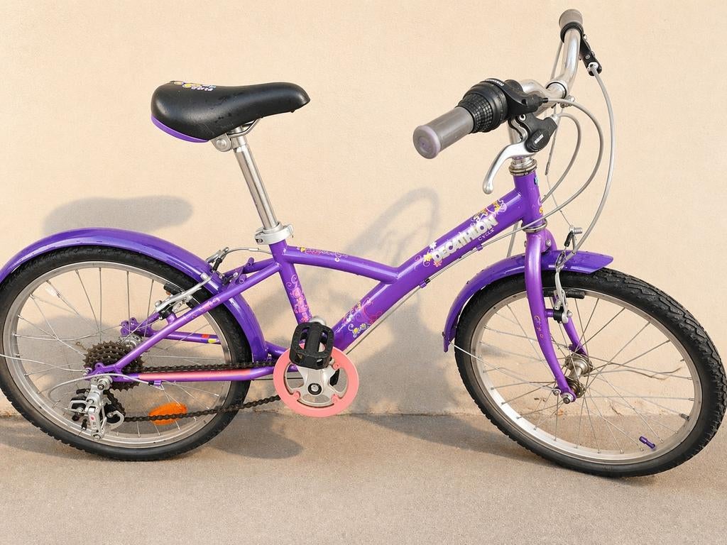 Decathlon Mistigri 20'., Enlèvement