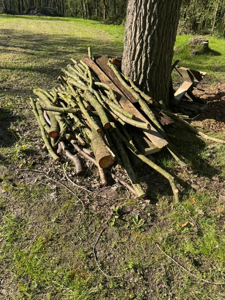 Brandhout, Jardin & Terrasse, Bois de chauffage, Enlèvement