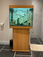 juwel lido aquarium 200 liter + buiten en binnen filter, Dieren en Toebehoren, Ophalen