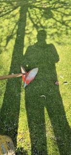 Buttoir de jardin pour haricots, Enlèvement, Rhizome