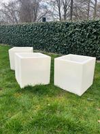 Plante lumineuse/bac à glaçons design (3 pièces), Carré, Enlèvement, Utilisé, Intérieur