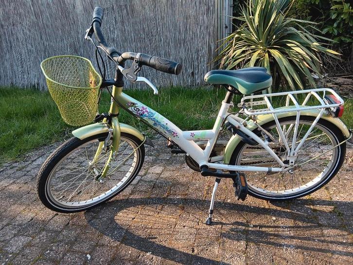 Raleigh Meisjesfiets 20”, Fietsen en Brommers, Fietsen | Meisjes, Gebruikt, Ophalen