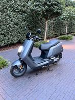 NIU NQI Sport - Matt Grey - 8052 km, Fietsen en Brommers, Scooters | Overige merken, Ophalen, Gebruikt, Elektrisch, Klasse B (45 km/u)