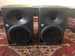 Neumann KH20 A Studio Monitors (Pair / Paar), Enlèvement, Comme neuf, Audio
