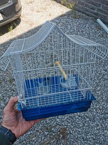 Petite cage à oiseaux beschikbaar voor biedingen