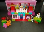 LEGO  DUPLO alles-in-één roze doos 6071227, Kinderen en Baby's, Complete set, Duplo, Zo goed als nieuw, Ophalen