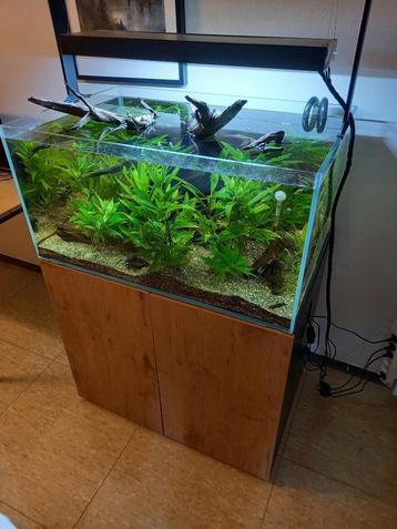 Aquarium+meubel +-240L beschikbaar voor biedingen