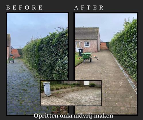 Tuinman - Regio Beerse en omstreken..., Diensten en Vakmensen, Tuinmannen en Stratenmakers, Tuinonderhoud of Snoeiwerk