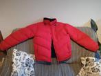 Axel News Sportwear Veste hiver homme rouge / taille L, Neuf, Autres marques, Enlèvement, Ski