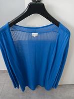 Nieuwe blauwe trui merk Mayerline te koop. Maat L, Comme neuf, Taille 42/44 (L), Enlèvement