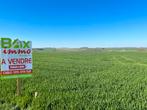Terrain à vendre à Hastiere, Immo, Gronden en Bouwgronden, 1500 m² of meer