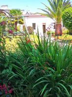 Bretagne ,Finistère-sud ,Maison & Jardin clos à 600 M des Pl, Vakantie, Vakantiehuizen | Frankrijk, 5 personen, Dorp, 2 slaapkamers