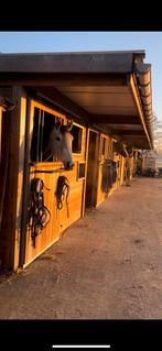 Stallen te huur, 4 paarden of pony's of meer