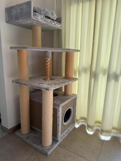 Maine Coon kattenboom, Dieren en Toebehoren, Krabmeubelen, Gebruikt, Ophalen