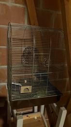 Cage et accessoires pour hamster, Animaux & Accessoires, Enlèvement, Utilisé