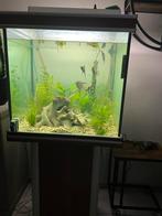 Aquarium of terrarium, Dieren en Toebehoren, Ophalen, Gebruikt, Leeg aquarium