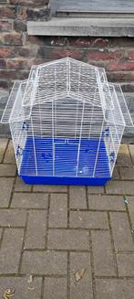 Cage a oiseaux, Enlèvement