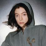 Lorde tickets 27/11, Tickets en Kaartjes