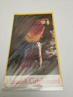 Een verjaardag postkaart over een vogel kleur verschillende, Collections, Cartes postales | Animaux, Enlèvement, Oiseaux