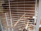 bichenow, Dieren en Toebehoren