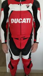 Dainese Ducati motorpak, Combipak, Nieuw zonder kaartje, Dainese, Heren