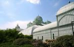 Koninklijke serres Laeken 5 volw. + 1 kind,  8 mei, 11 uur, Verzenden