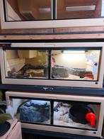 Herptek terrarium 120x70x50 avec ou sans occupants, Enlèvement