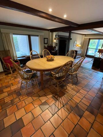 Eetkamer tafel beschikbaar voor biedingen