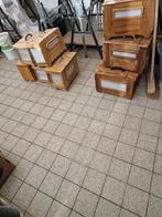 Zangkooie vink voor  25euro stuk ieper, Ophalen