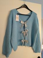 Dames Truien, Vêtements | Femmes, Pulls & Gilets, Enlèvement, Comme neuf, Bleu