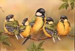 Mooi olieverfpaneel met vogels, Antiek en Kunst, Kunst | Schilderijen | Klassiek, Ophalen of Verzenden