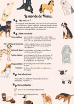 Le Monde de Mumu – Services de Pet-sitting et de Promenade, Services & Professionnels, Animaux | Chiens | Soins, Dog-sitting & Dressage