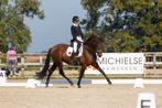 2 super brave merries te koop, Dieren en Toebehoren, Paarden, L