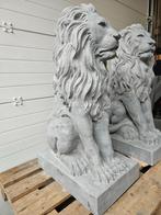 KOPPEL LEEUWEN IN VOL ARDUIN/BLAUWSTEEN GEKAPT TOPSTUKKEN!!!, Ophalen of Verzenden, Nieuw, Overige materialen, Dierenbeeld